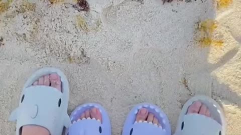 Sharkies slides trending shark sleeper