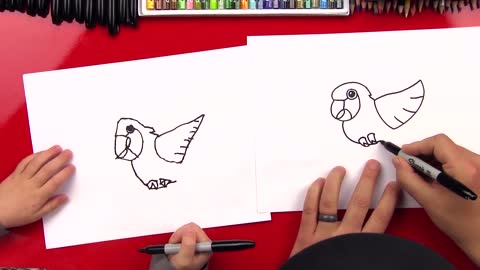 HowToDrawACartoonParrotp10