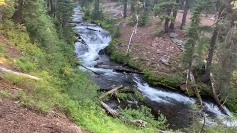 Central Oregon - Three Sisters Wilderness - Soda Creek Carving Its Way Through an Alpine Forest