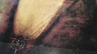 Rembrandt album book 1968: art , paintings