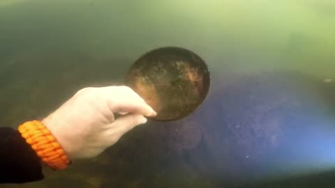 I found some weird stuff in the river scuba diving!