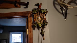 Cuckoo Clock repaired