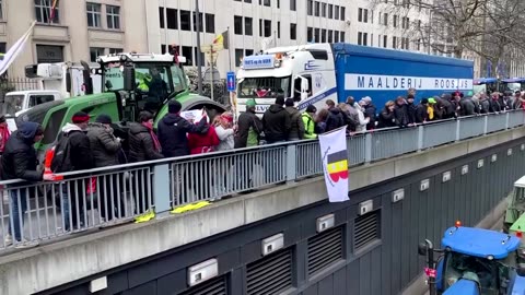 Tractors descend on Brussels over nitrogen emissions