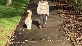 Boy Has Special Friendship With Neighborhood Cat