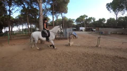 Horse Riding, Spanish Horse