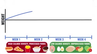 three stages for loosing belly fat