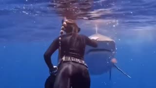 How to Avoid shark attacks