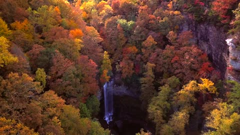 Mountain Forest In Autumn