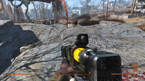 Fallout 4, Boston Safari
