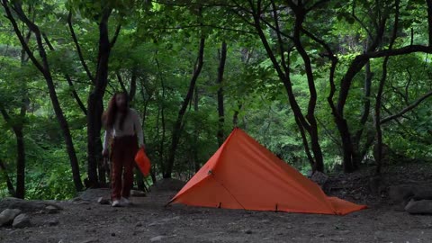 Solo in the Rain Forest Interesting Tarp Tent Camping