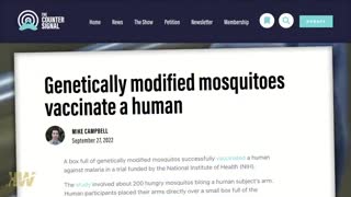 MASS VACCINATION THROUGH GMO MOSQUITOES?