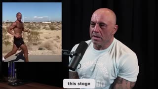 Joe Rogan Reveals How He Found His Purpose In Life Podcast