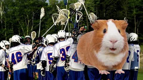 High School Lacrosse Team Sacrifices Guinea Pig, Smears Blood on Faces in Pre-Game Ritual