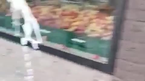 Russian Store In Germany Gets Trashed