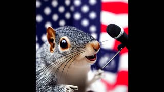 Gray Squirrel Media Ep. 03