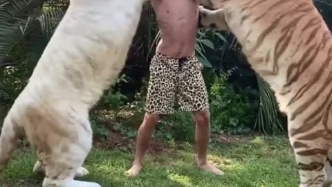 FRIENDSHIP BETWEEN TIGER AND HUMAN