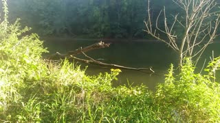 The Spring at Blackhawk Springs Forest Preserve