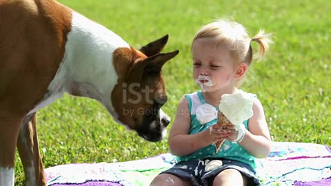 Cute dog wants to eat ice_cream