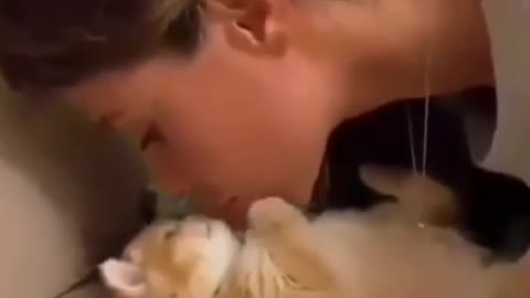 Nice cat kisses a pretty girl