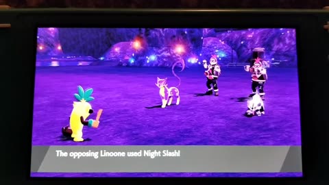 Pokemon Sword:Team Yelling in the Mine