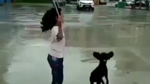 Black dog and kid jump rope and work together seamlessly