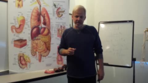 What is the Primary Function of the Stomach? You Will be Surprised!