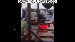 What Are They Doing To Our Food? OMG Know What You Are Eating
