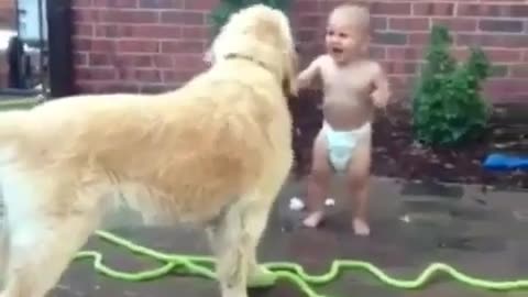 FUNNY VIDEO OF KID PLAYING WITH DOG|FUNNY ANIMALS|FUNNY ANIMALS FROM ANIMAL BASE