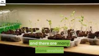 How To Start Seeds Indoors UK - organic gardening Must Watch!