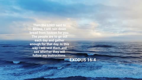 EXODUS 16:4 Bible Verse of the Day