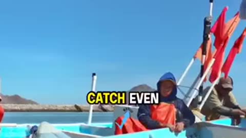 Fisherman Tale