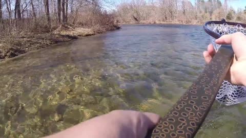 GoPro - Fly Fishing the Davidson River
