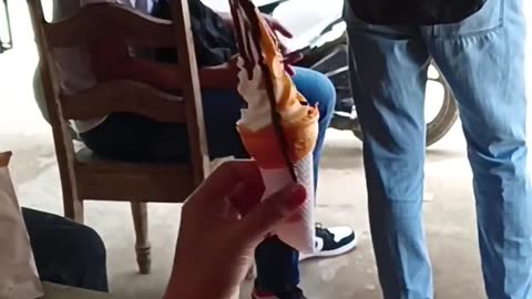 Soft Serve Ice Cream