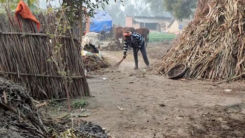 Poor Women's Hut In A Village In UP India [ Natural Life Style In India UP ] Rural Life India