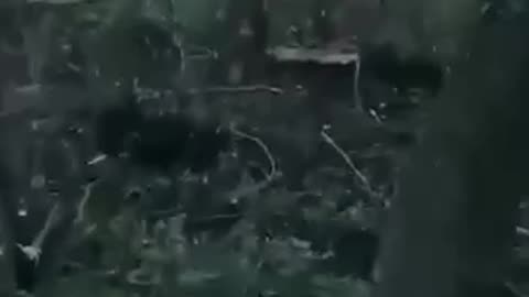 Dramatic Footage of a Russian Soldiers Contemplating Surrender