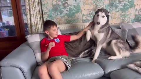 Huskies Hilarious Reaction To My Kids Fake Crying Prank!!😂. [CUTEST REACTIONS EVER!!]