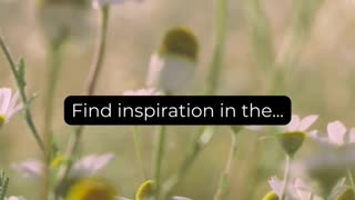 Find inspiration in the