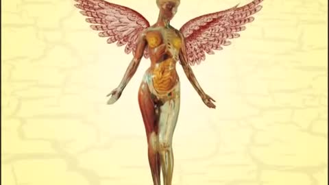 In Utero Full Album - Nirvana