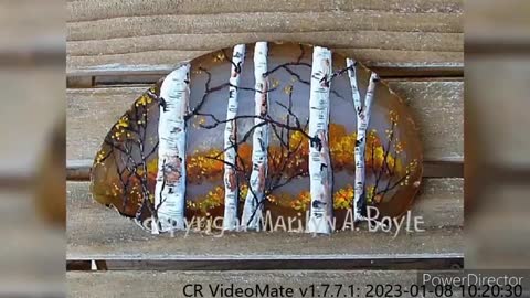 new and stunning stone rock painting ideas for bignners (0)