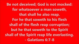 Book of Galatians | Chapter 6 Verses 7-8 - Holy Bible (KJV) - Scripture with Music