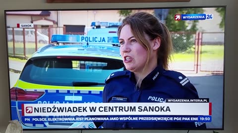 Niedzwiedz w centrum miasta