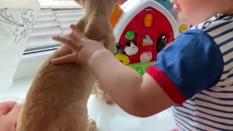 Cute Animals Cute cat and cut baby