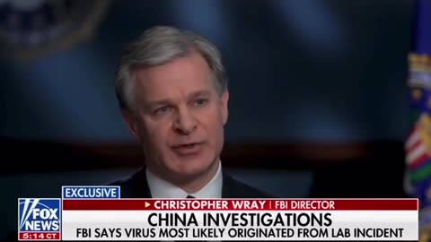 Parroting the FBI and MSM narrative that China’s government is to blame?