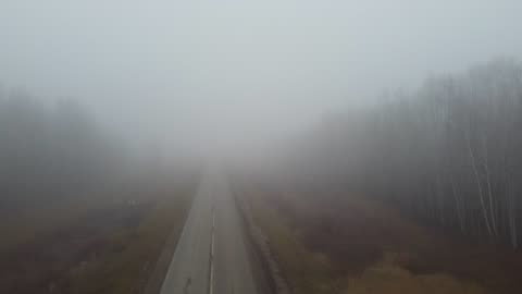 Foggy Forest Road Aerial View