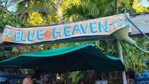Blue Heaven Key West Florida.