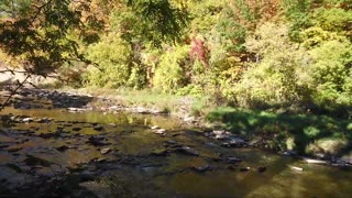 Fall Walk along Etobicoke Creek