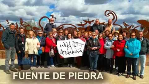 Wild Andalucia_ Birding & Nature Tours in south Spain