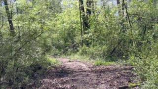 Abandoned Shed In The Woods!