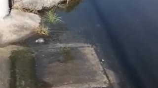 Aguas servidas en Bocala y Centro