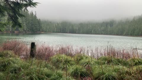 Oregon – Mount Hood National Forest – Beautiful Lower Twin Lake – 4K